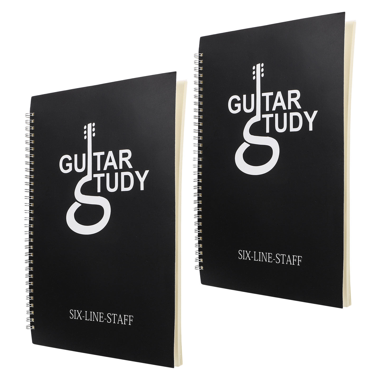 2 quaderni per composizioni mu - Blank Sheet Music Notebook recensione e prezzo